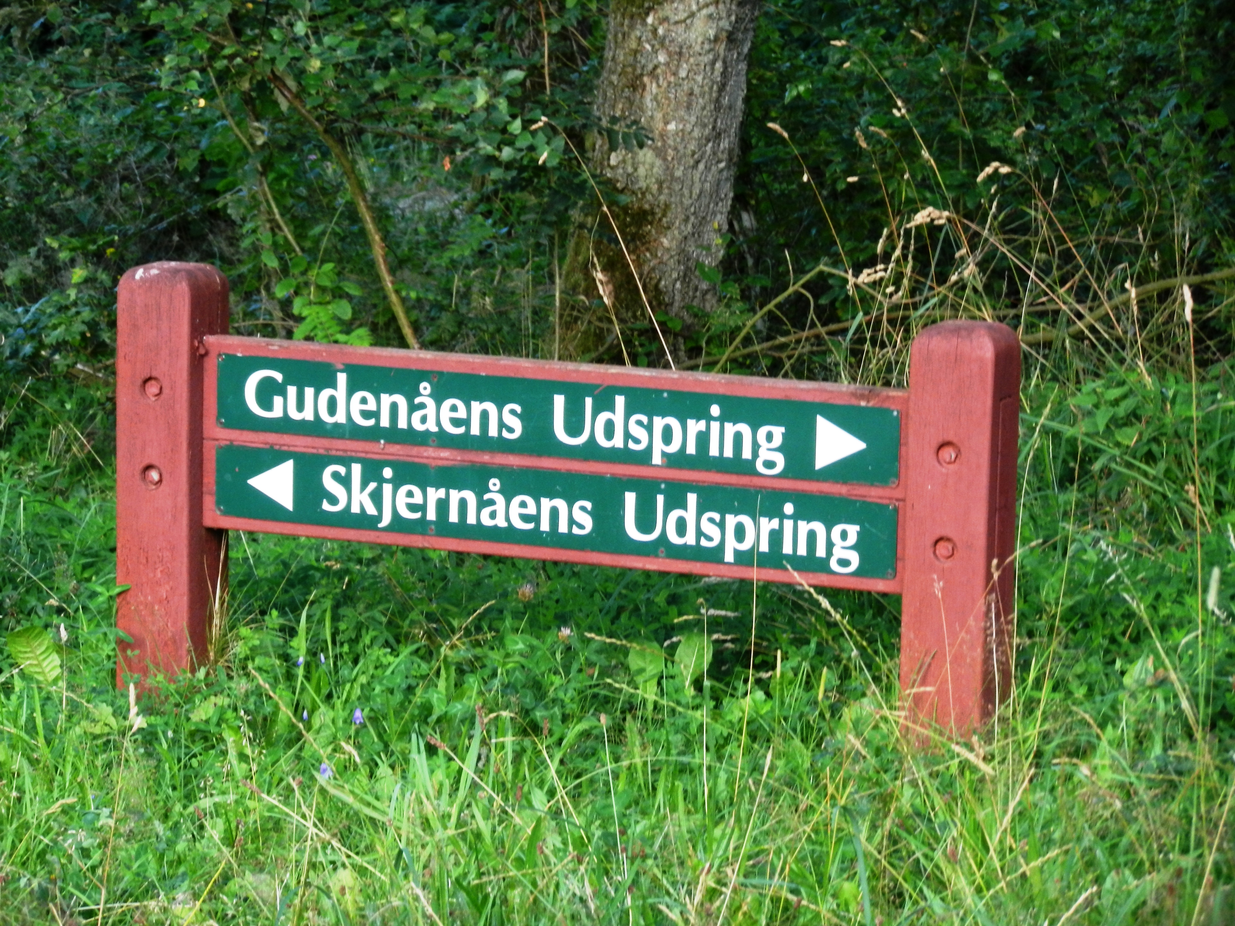 Aernes udspring vejskilt